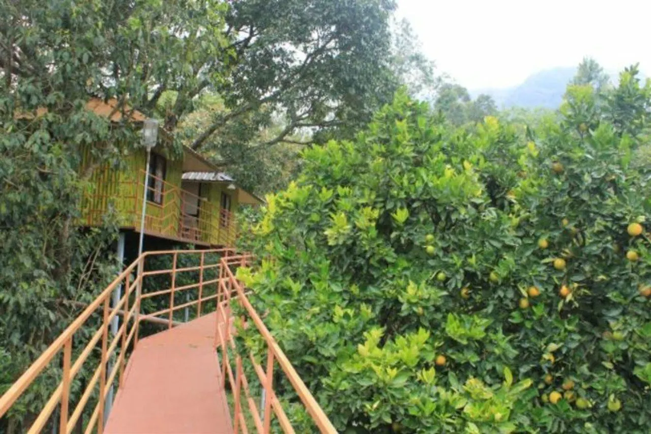 ** Bed and Breakfast Silver Mount Holidays Suryanelli Ινδία